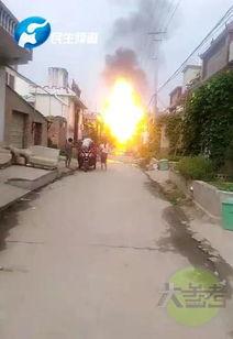 焦作武陟爆料事件最新消息,最新进展及影响揭秘