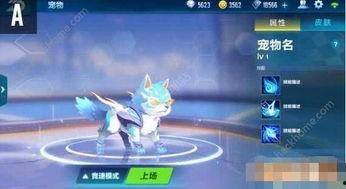 飞车最新爆料宠物